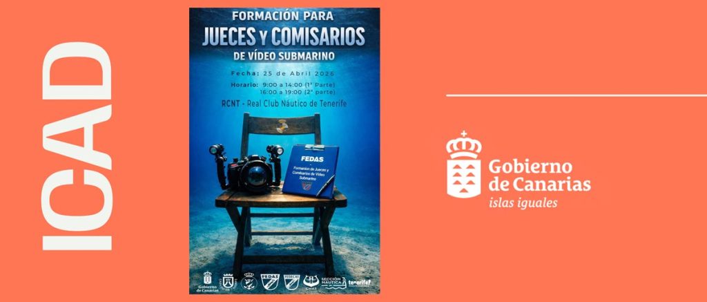 Vídeo submarino